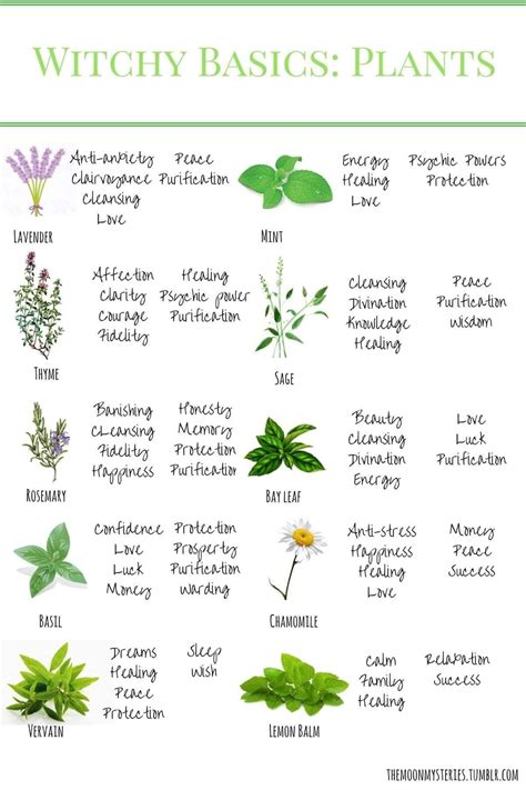Incorporating Wiccan Herbs into Everyday Life from Your Garden